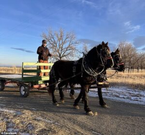Farmer banned from McDonald’s after using Drive-Thru in horse and wagon