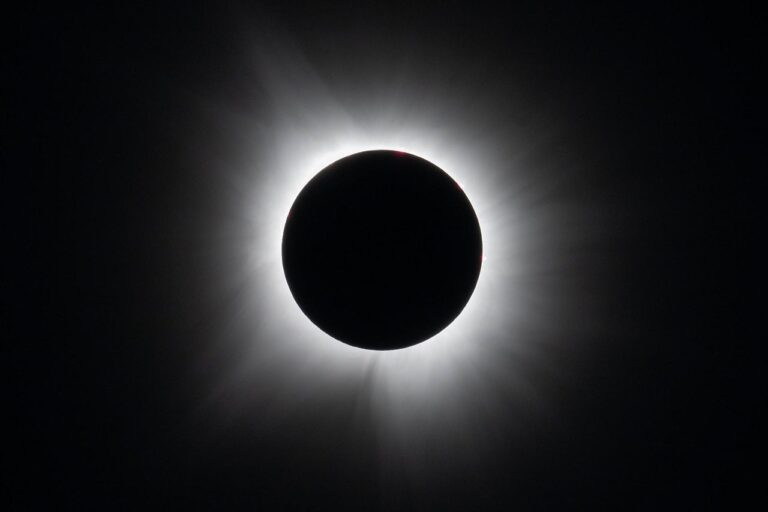 New Volunteer Data from 143 Observatories Unveils the 2024 Total Solar Eclipse