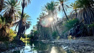 ¿Puede este estado mexicano resolver una crisis hídrica? » Yale Climate Connections