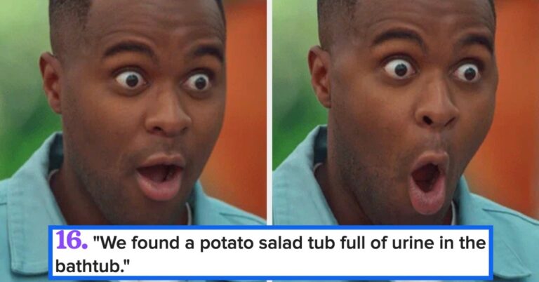 19 Wild Things Homeowners Found After Moving In