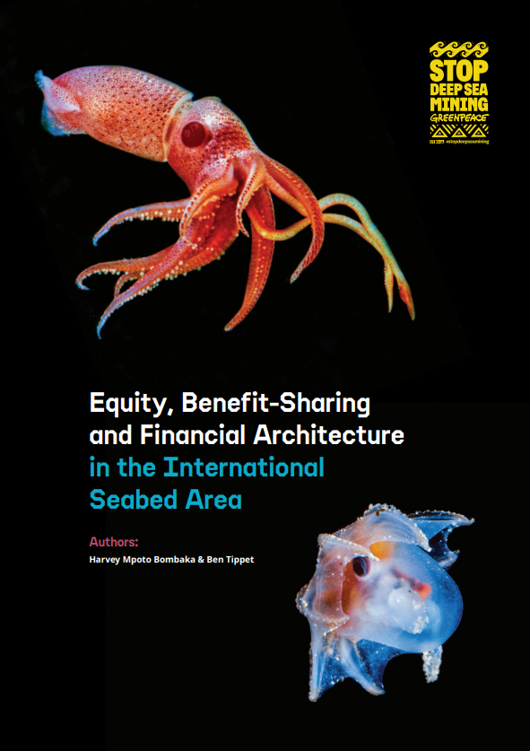 Equity, Benefit-Sharing and Financial Architecture in the International Seabed Area