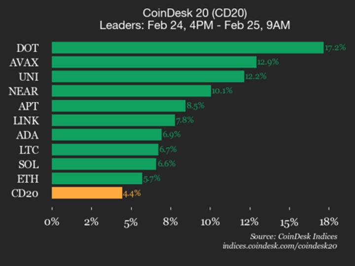 Polkadot (DOT) surges 17.2% as all assets rise