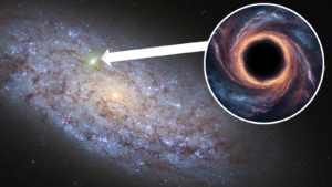 The investigation could solve the mystery of how supermassive black holes grew so large in the early universe.