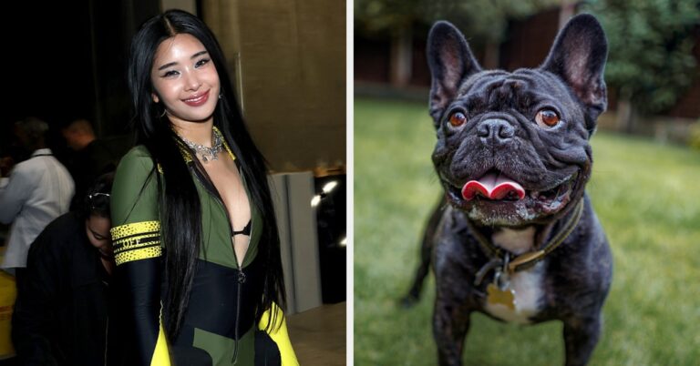 Your Dog Preferences Will Tell You Which KATSEYE Member You Are