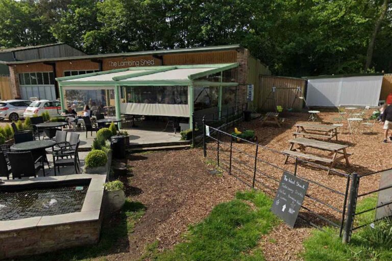 5 People Hospitalized After Food Truck Explodes at Charity Event