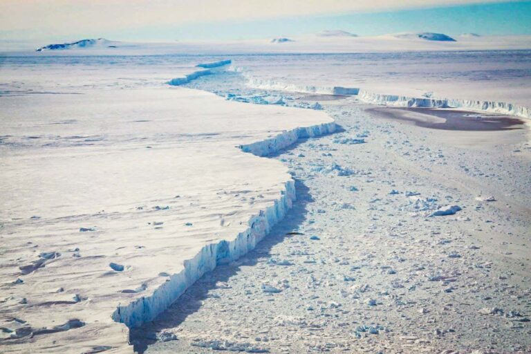 Weakening ice shelf has caused crucial Antarctic glacier to accelerate