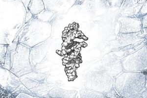 RNA strand that can almost self-replicate may be key to life’s origins