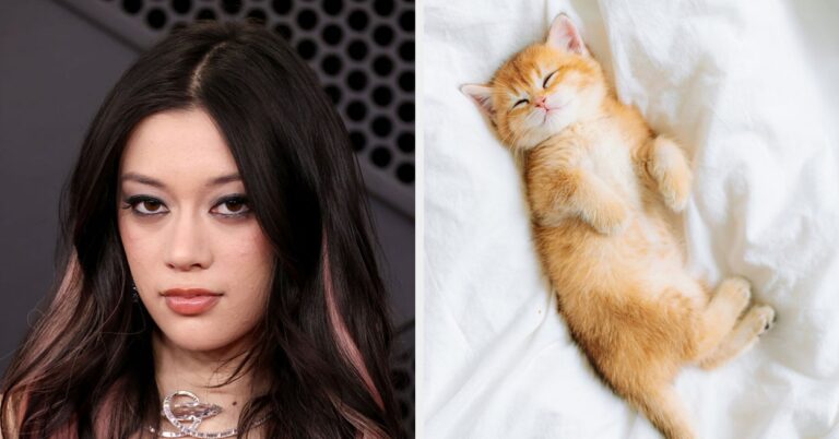 Your Cat Preferences Will Tell You Which KATSEYE Member You Are