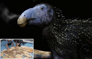 Dinosaur With Spikes Exhibiting Unprecedented Properties Discovered In China