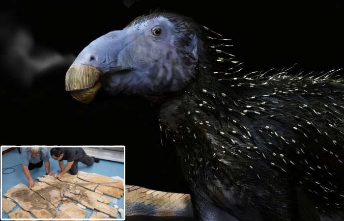 Dinosaur With Spikes Exhibiting Unprecedented Properties Discovered In China