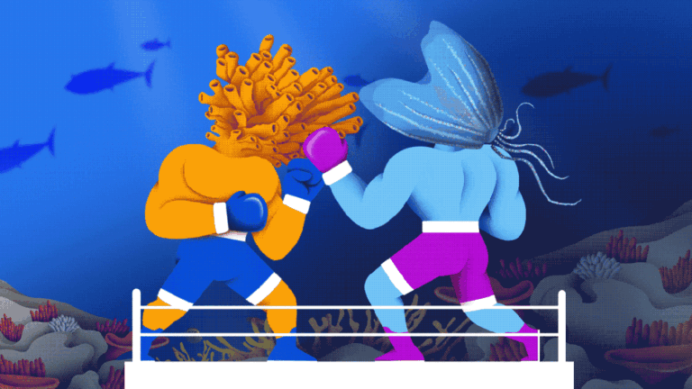 What were the first animals? The fierce sponge–jelly battle that just won’t end