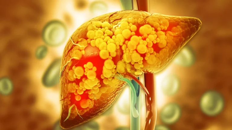 Scientists found a gut compound that helps protect the liver