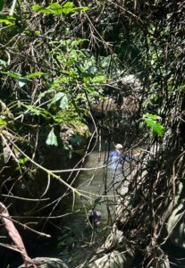 With Love: Living consciously in nature