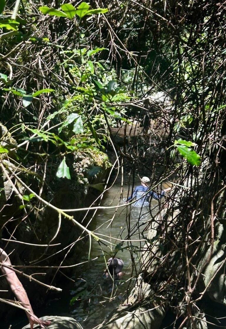 With Love: Living consciously in nature