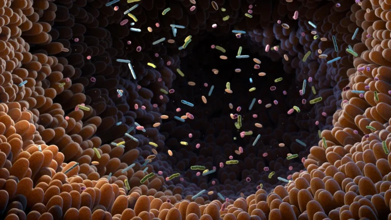 Scientists discover a hidden gut bacterium linked to good health