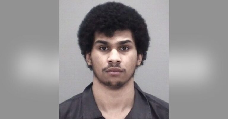 Man Accused of Hitting a Family With Car, Shooting Them, Killing Girl, 3