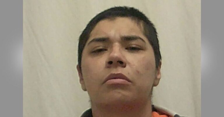 Mother Finds Daughter Being Stabbed Nearly 20 Times By Woman in Her Bedroom