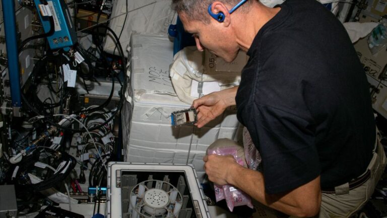 Scientists successfully mine meteorites on International Space Station — using microbes