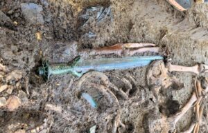 Remarkable 3,400-Year-Old Octagonal Bronze Sword: Experts Call It A Masterpiece Of Craftsmanship