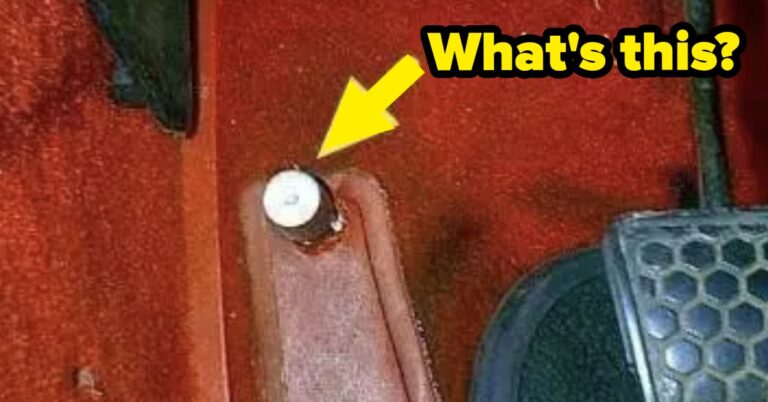 I'm Sorry Millennials, But There's Absolutely Zero Chance You Will Be Able To Pass This Quiz