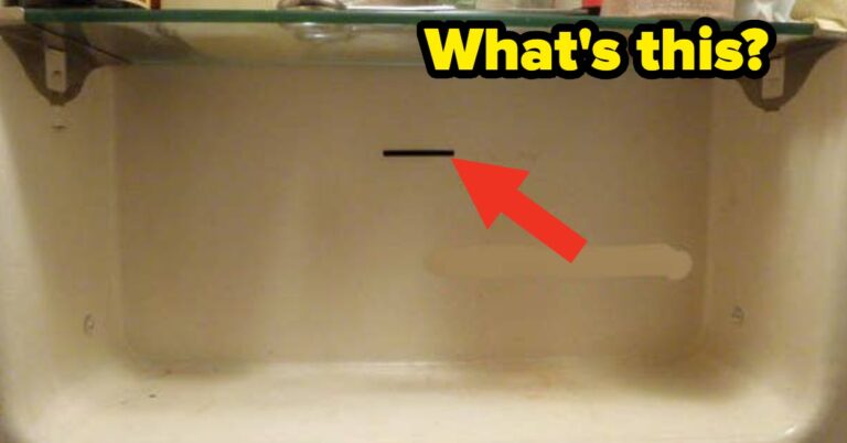 I'm Sorry Millennials, But I'm Pretty Sure There's Absolutely Zero Chance You Will Be Able To Pass This Quiz