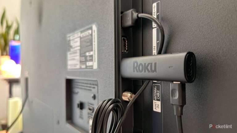 You should never, ever buy this kind of Roku
