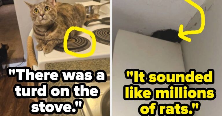 People Are Revealing The "Horrifying" Things They've Seen In Another Person's Home That Made Them Leave IMMEDIATELY, And I'm Shook