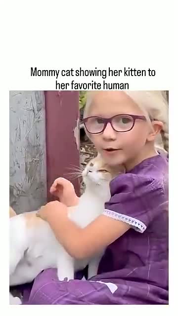 stinky subsequent drab