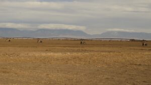 The arid Rio Grande basin could become even drier » Yale Climate Connections