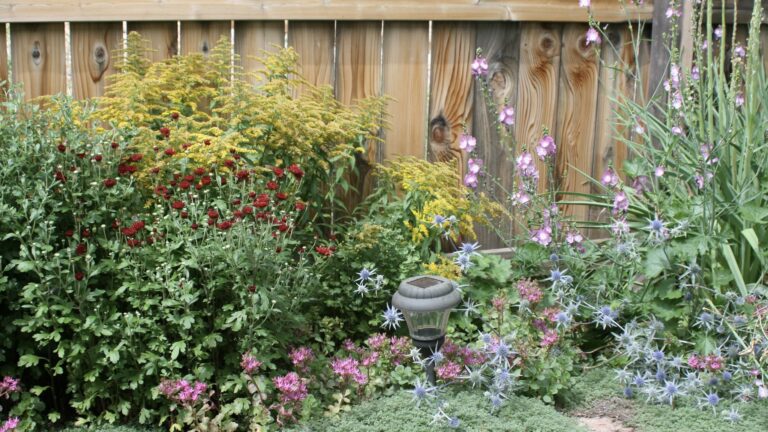 How to help your garden withstand climate change » Yale Climate Connections