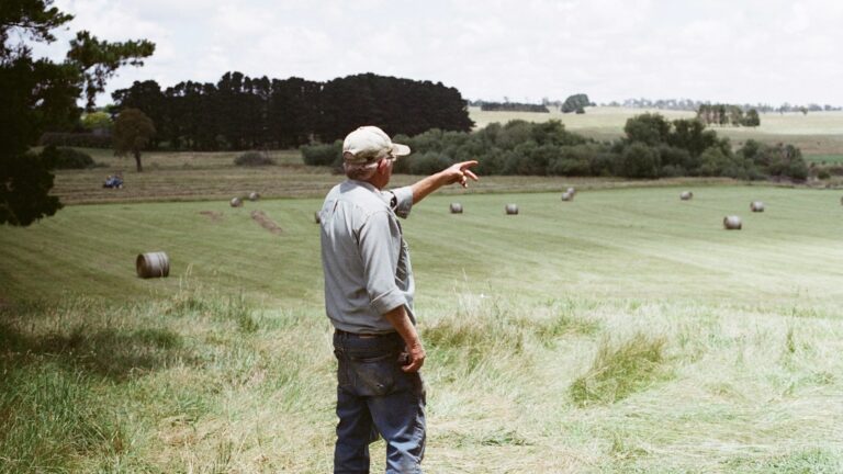 Retiring farmers find a new way to pass on their land » Yale Climate Connections
