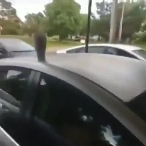 fitted befitting injured