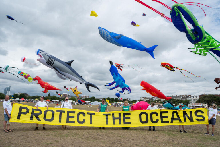 Ocean Treaty passes Australian Parliament, a “historic moment” for nature protection