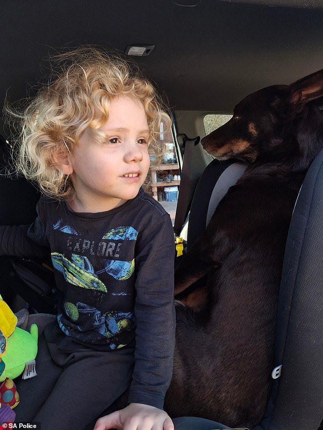 Top cop’s ominous comment as he reveals two relatives of Gus Lamont are ‘no longer co-operating’ with officers