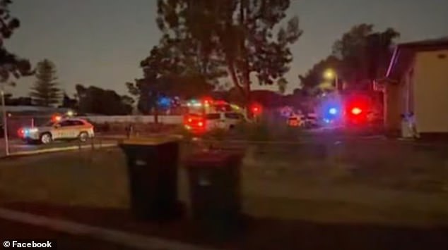 Nine-month-old baby is found dead in Elizabeth Downs home with piles of child-related junk including a potty out the front –  as woman, 31, is arrested