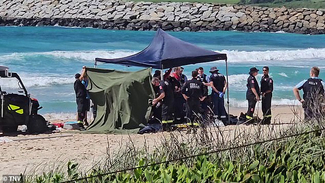 Shellharbour Beach, NSW: Horror as two British tourists drown at popular Australian beach after brave witnesses tried to save them