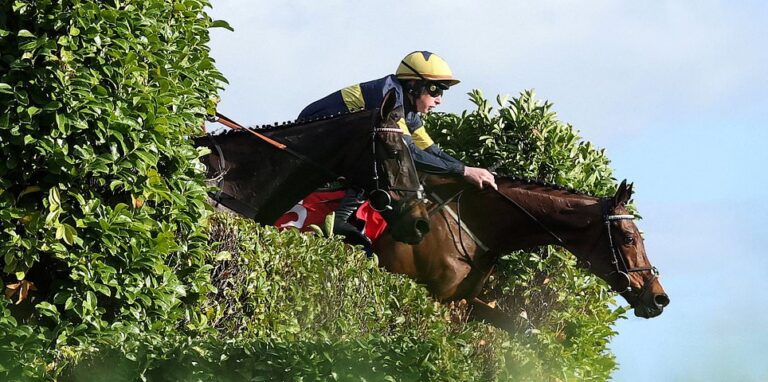 Cheltenham Festival LIVE: Latest tips, racecards and results from St Patrick’s Day Thursday as massive favourite is OUT