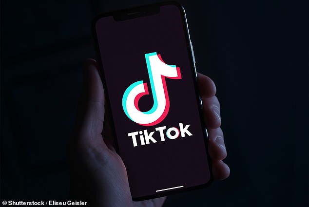 Children as young as five are ‘livestreaming pornographic content for paedophiles on TikTok to fund video games’, police experts warn