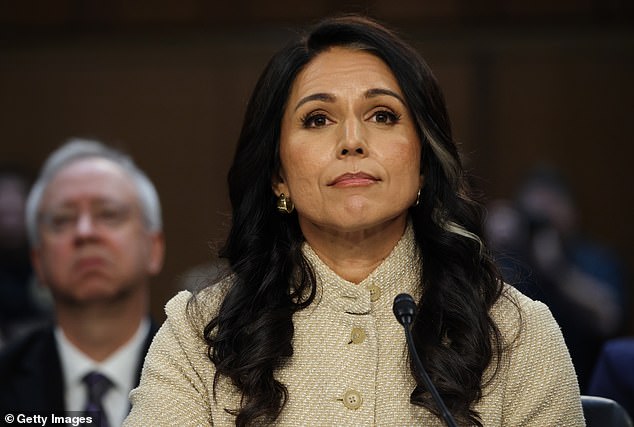 Tulsi Gabbard lets Iran nuke bombshell slip as Senate hearing spirals for Trump’s embattled spy chief