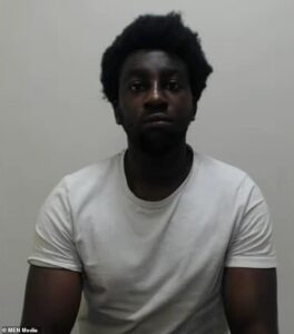 Nigerian migrant who raped 19-year-old girl was not deported after previous sexually-motivated attack ‘to protect his right to family life’