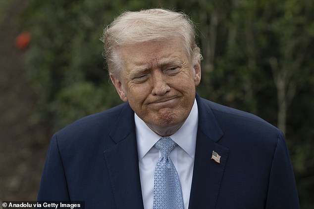 Trump issues blistering threat to send ICE agents to airports to handle security as TSA lines grow up to 2 hours long amid government shutdown