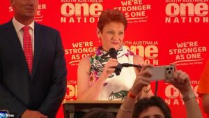 One Nation likely to claim handful of lower house seats as it scores its best state election result in 30 years in South Australia – and emerges as Labor’s main opposition