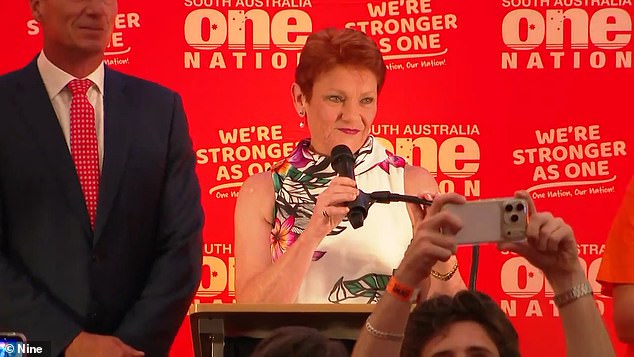 One Nation likely to claim handful of lower house seats as it scores its best state election result in 30 years in South Australia – and emerges as Labor’s main opposition