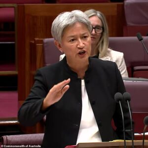 Question about Albo getting heckled at a mosque and called a ‘putrid dog’ makes Penny Wong EXPLODE