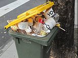 Aussies warned rubbish might not be picked up as fuel crisis drags on amid war in the Middle East