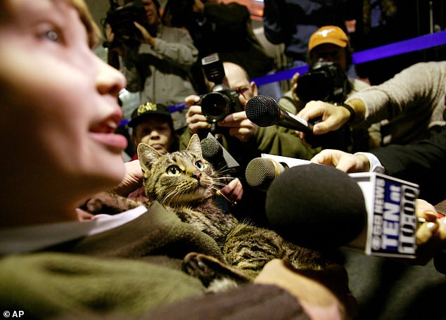 Amazing tales of animal survival – from Chinese dogs led home by Corgi, to elephants that escaped from the zoo and went on 300-mile trek across country