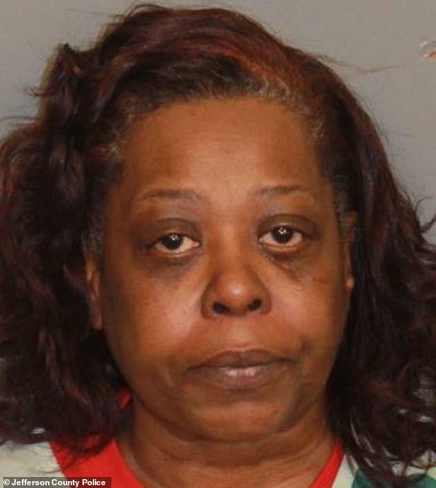 Social workers’ driver is indicted after she allegedly left toddler to die in hot car after transporting him to visit dad