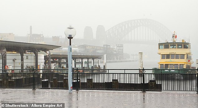 Sydney ferries cancelled due to ‘deadly’ coastal conditions