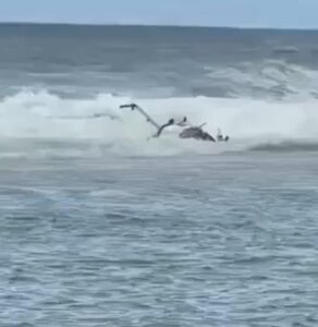 Horror in Hawaii as three are killed in tourist helicopter crash on paradise beach