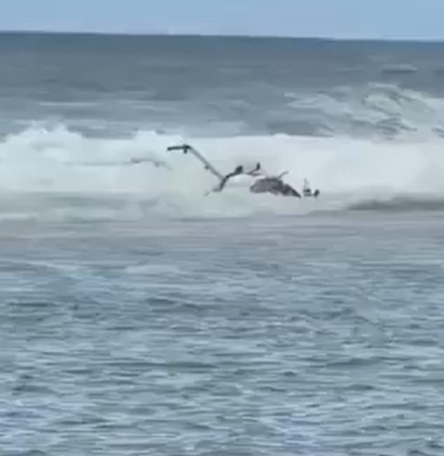 Horror in Hawaii as three are killed in tourist helicopter crash on paradise beach